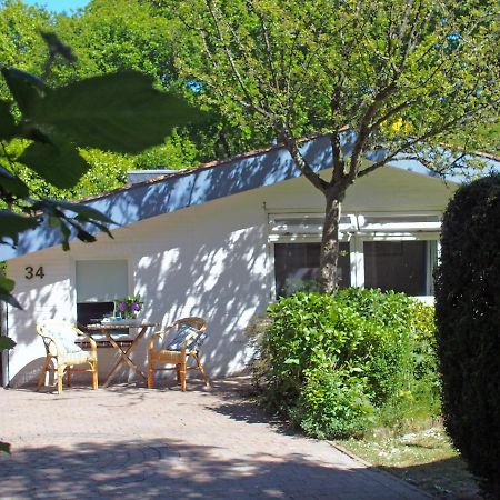 Vakantiehuis La Petite Redousse Renesse Exterior photo